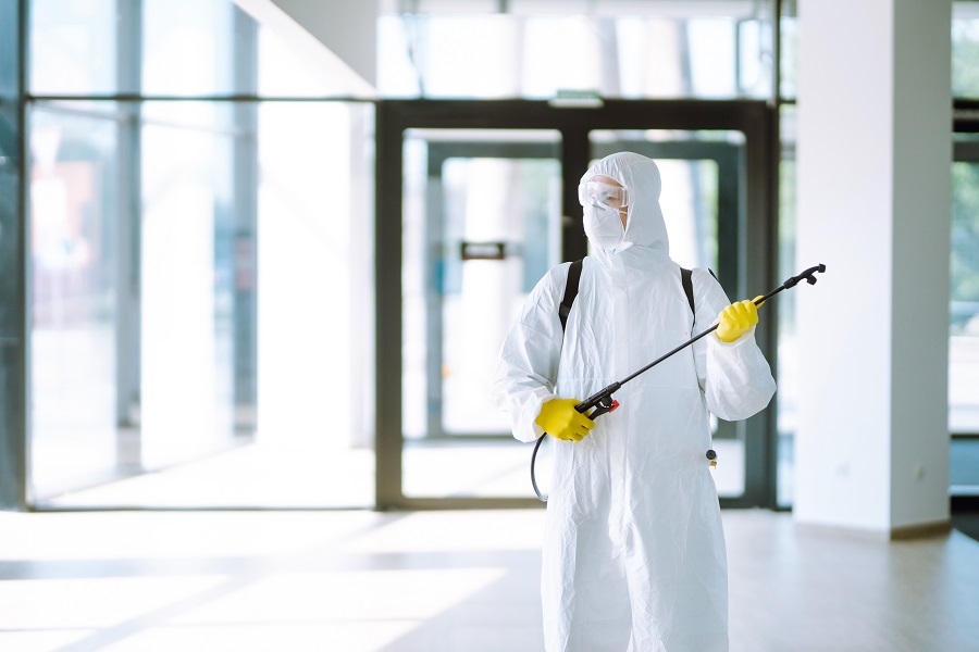 Why Clients Give High Ratings in Hawx Pest Control Reviews